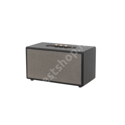 AIWA RS-X60BK Diviner Ace Bluetooth hangszóró 60W - fekete